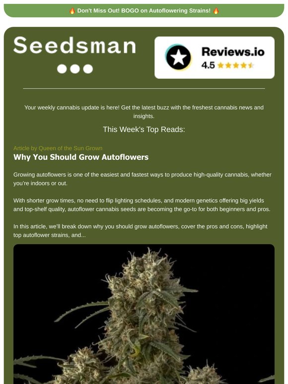 📬 Weekly Newsletter 📬