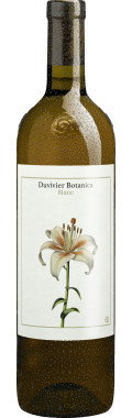 Wein