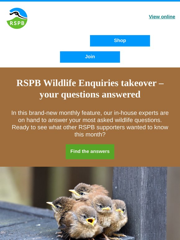 What to do if you find a fledgling?