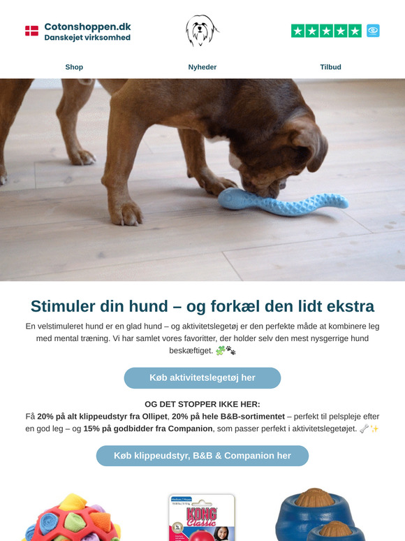 Sally kalder! 📢 Skal vi lege?❣️