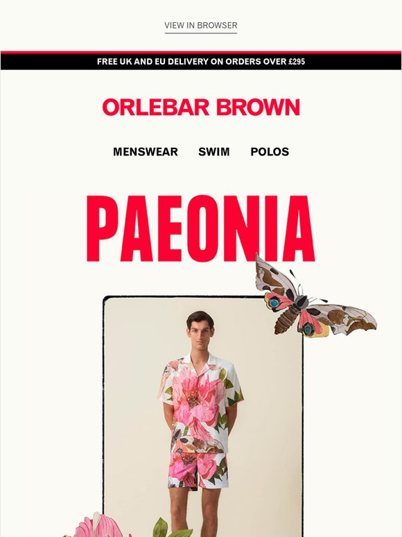 Introducing Summer Florals