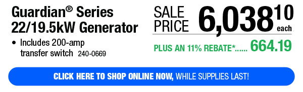 Guardian® Series 22/19.5kW Generator - Click Here!