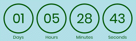 Timer from emailcountdowntimer.com