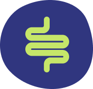intestine