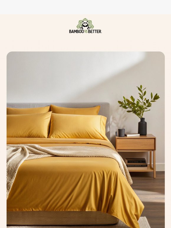 Last Chance to Sleep Better for Less