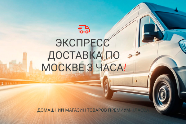 Экспресс доставка по Москве
                            