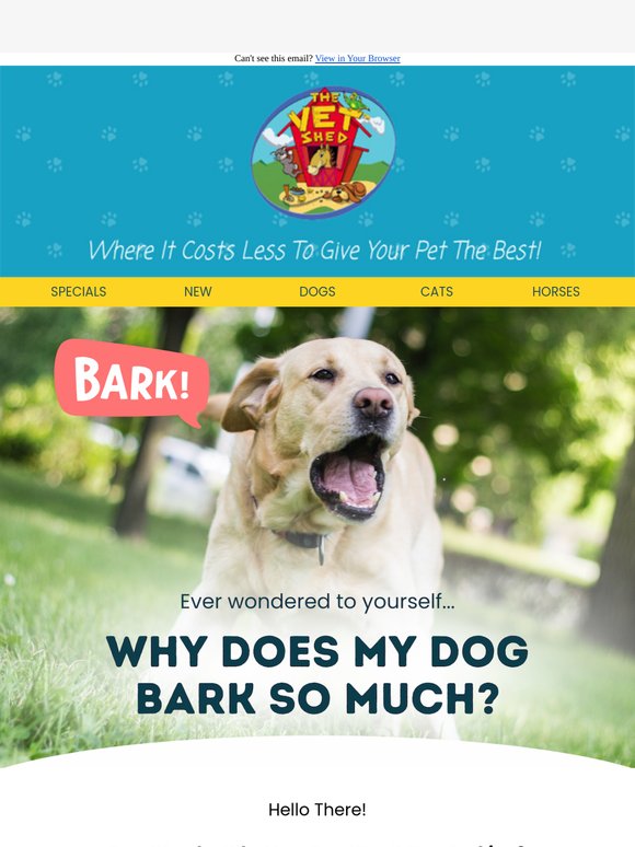 🐾 Why Is My Dog Barking So Much?