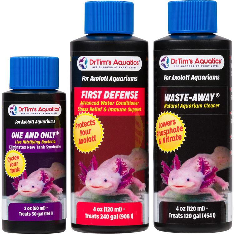 Axolotl
