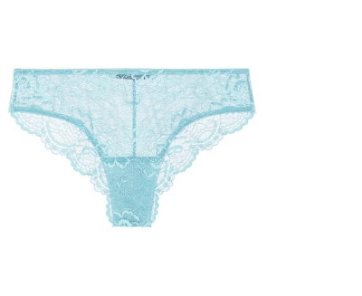 Samantha Chang All Lace Brief