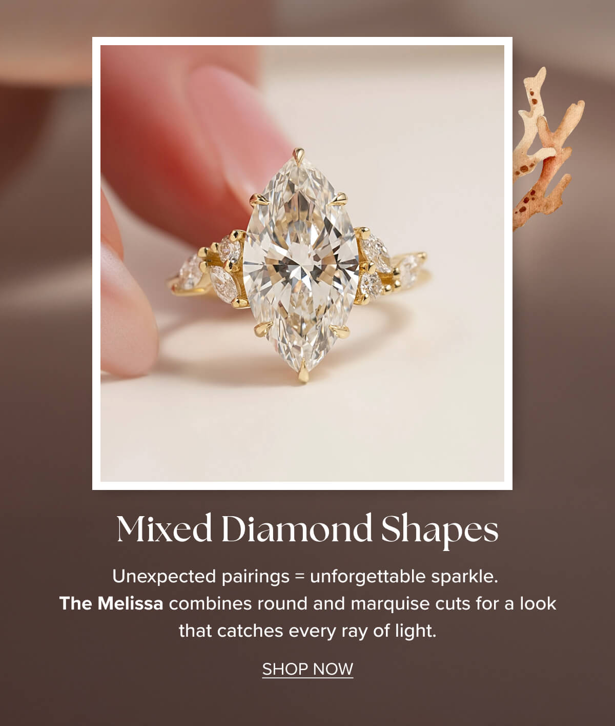THE MELISSA