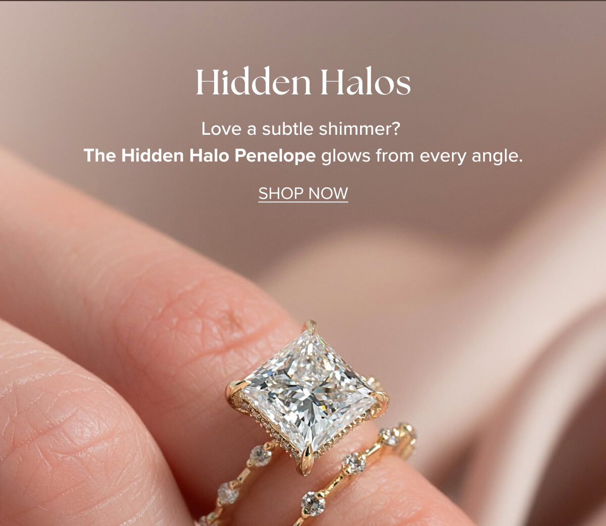THE HIDDEN HALO PENELOPE