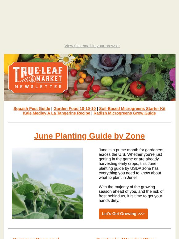 Your June Garden Guide Is Here! 🗓️ + Squash Pest Help | TLM Newsletter