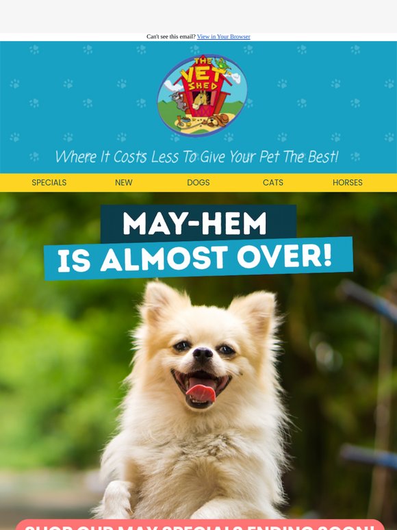 🔥 Final Days of MAY-hem Pet Specials!