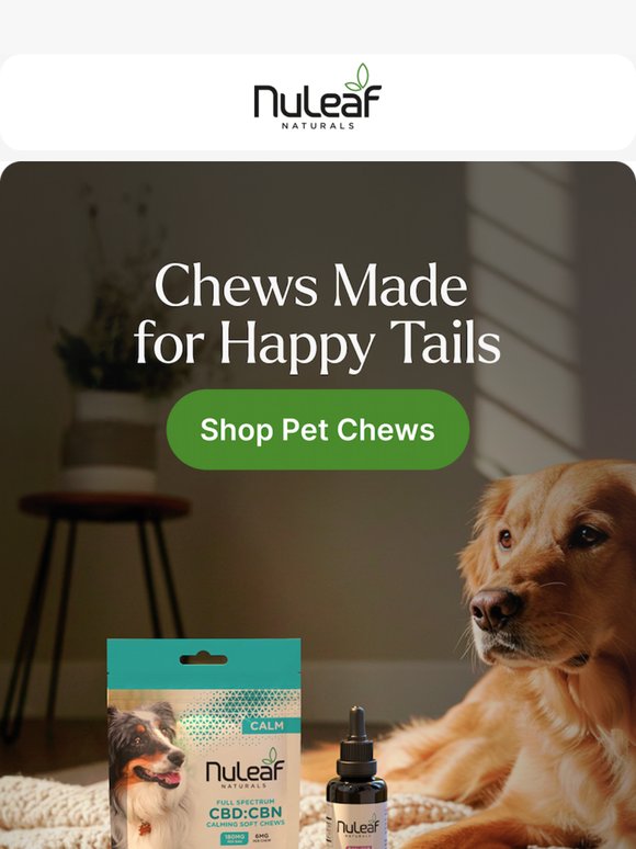Chews Your Pet Will Love 🐾