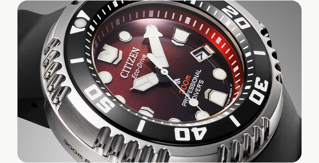 The Promaster Dive E365 
