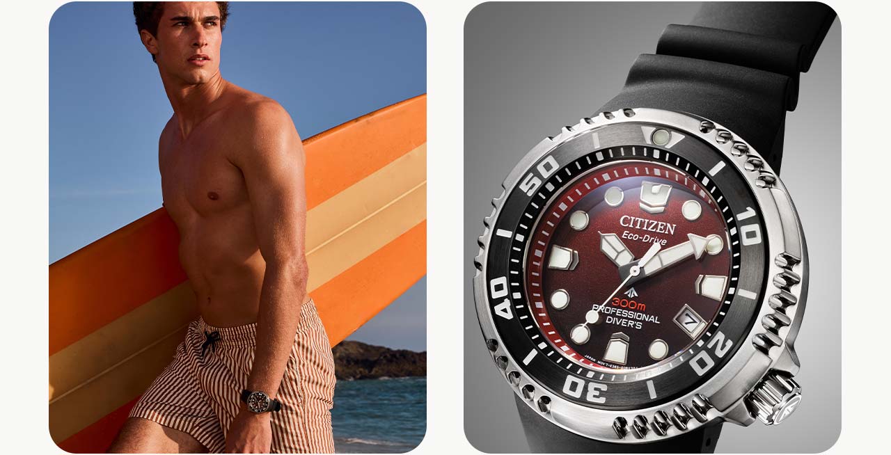 The Promaster Dive E365 