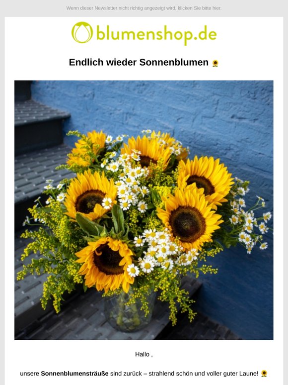 Endlich wieder Sonnenblumen, ! 🌻
