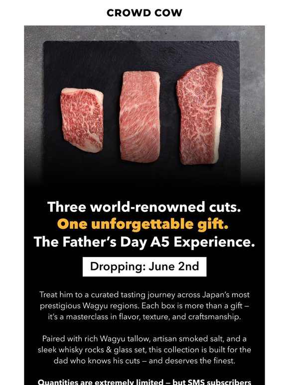 Incoming Drop: A Father's Day Gift Not to Miss