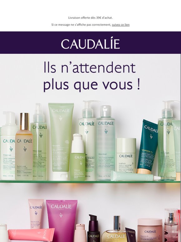 Il n’est pas trop tard… Votre panier vous attend !