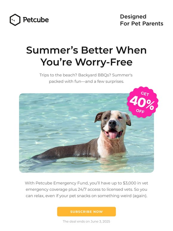 Your pet’s summer safety? Handled.