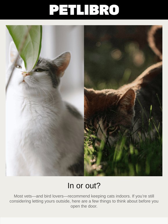 Read this before you open the door! 🐱