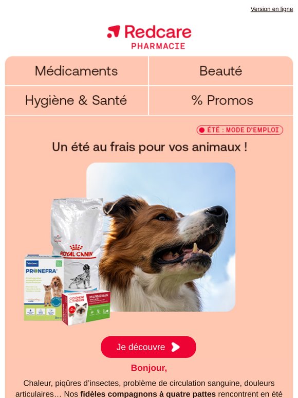 Nos indispensables pour vos animaux ☀️🐎🐕🐈