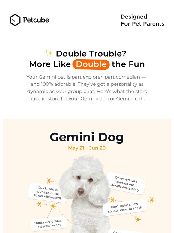 Is your pet a Gemini? Yeah… that explains a lot. ♊️