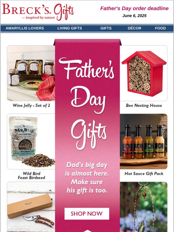 A little fatherly guidance