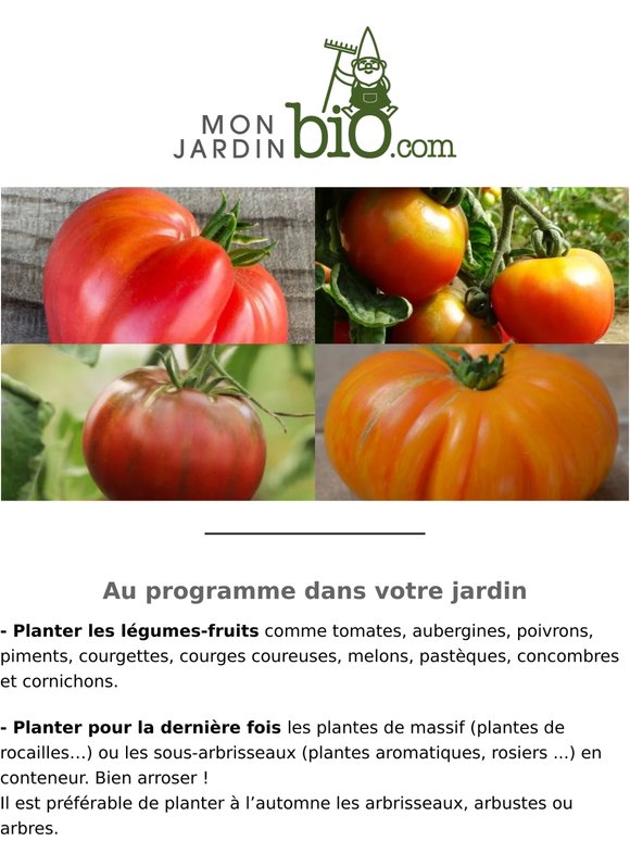 🍆 C'est encore le moment de commander vos plants potager bio 🍅