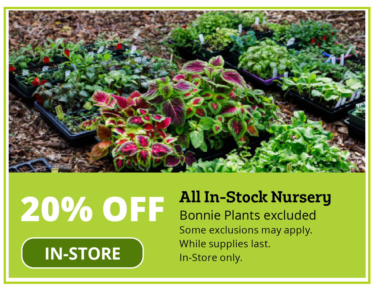 20% of all in-stock nursery