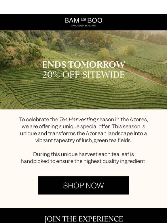 ENDS TOMORROW: 20% off sitewide