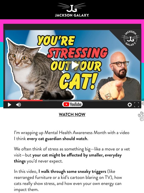 Hidden Signs Your Cat is Stressed