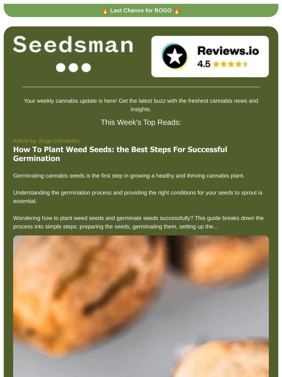📬 Weekly Newsletter 📬