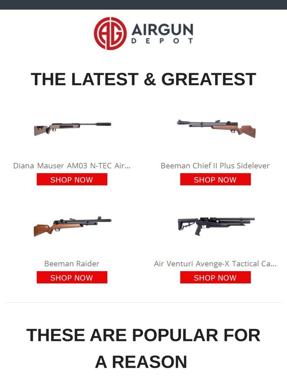 Up Your Airgunning With These Picks
