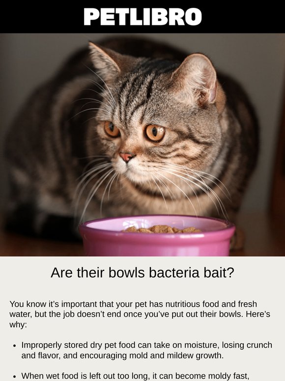 Is your pet’s food and water bacteria bait?