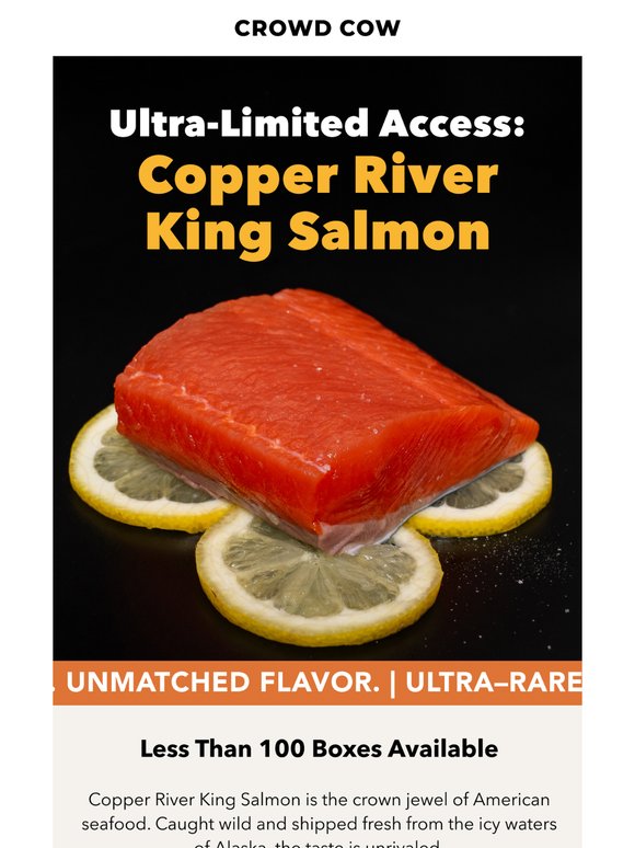 Rare Catch: Copper River King Salmon is Here