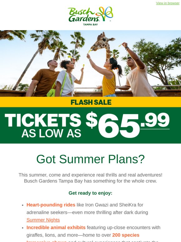 🎆 Limited-Time Offer: Tickets as Low as $65.99! 🎆