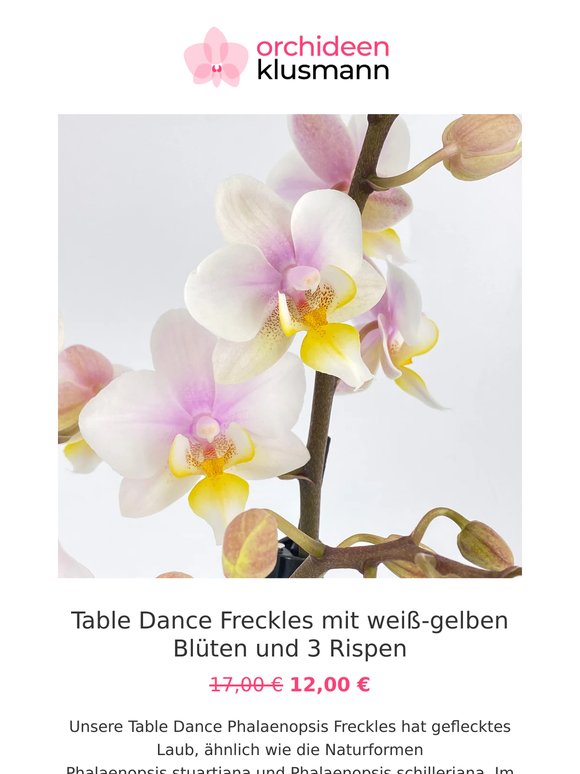 🌸 Neue Aktionen zum Wochenstart!