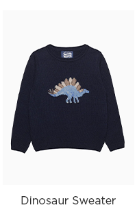 Dinosaur Sweater