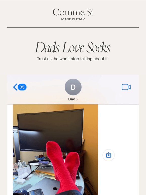 Dads Love Socks