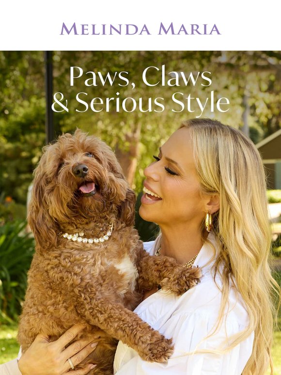 Spoiler: they have four legs and better style than us