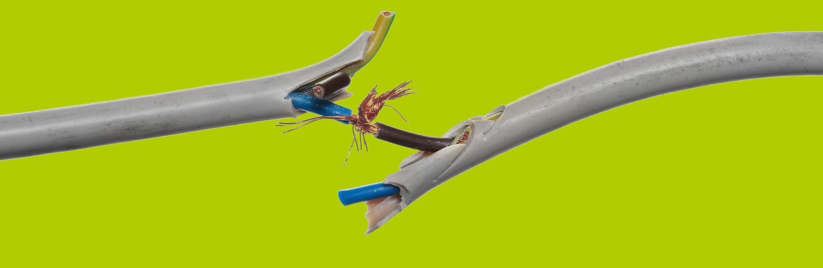 Photo: Broken Ethernet Cable