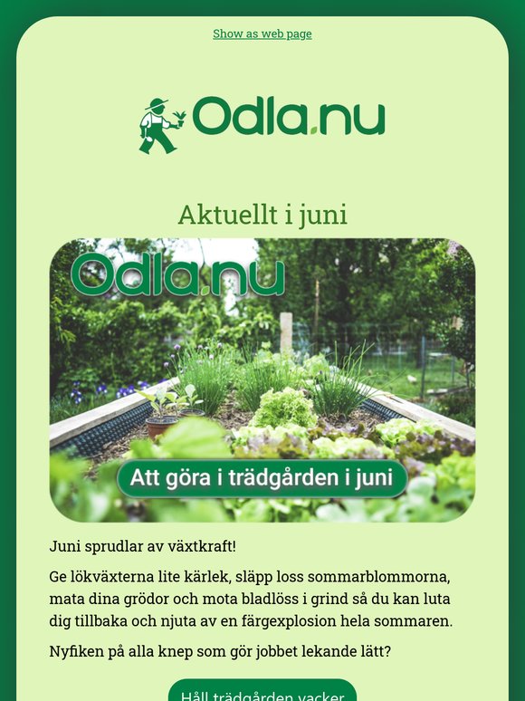 Få ordning på din trädgård i juni 😎