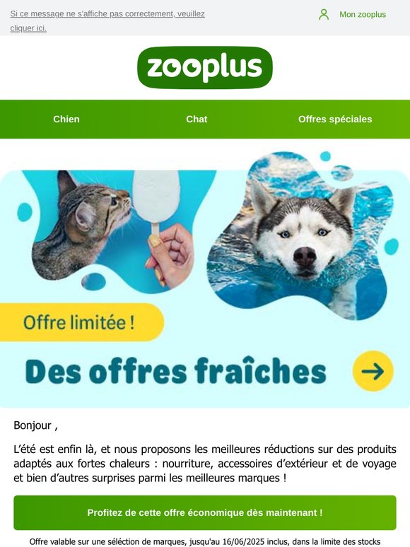 Offres d’été rafraîchissantes : économisez maintenant !