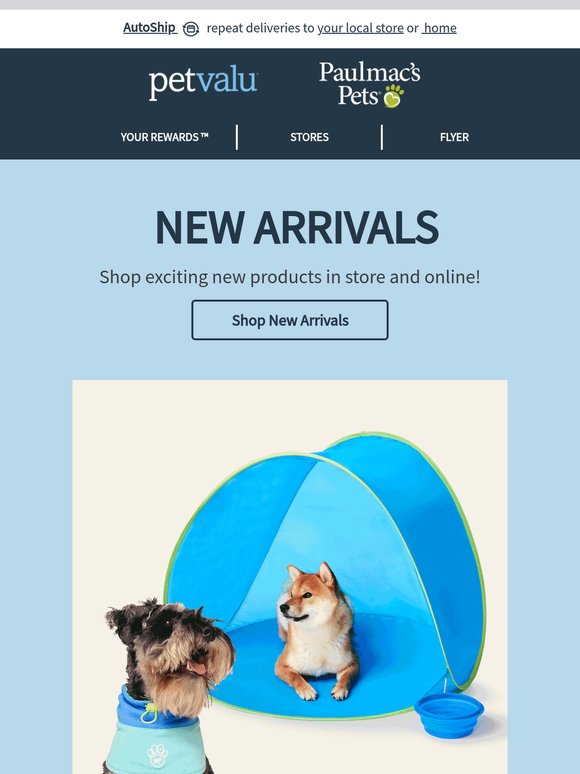 They’re here! New arrivals for your pets have just landed 📣