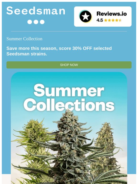 🔥 Shop Summer Collections 🔥
