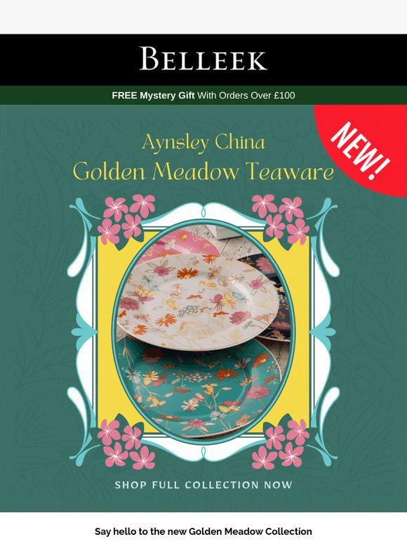 Introducing the New Aynsley China - Golden Meadow Collection 🌼