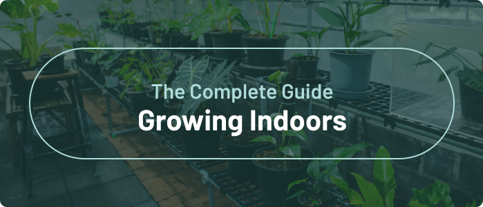 The Complete Guide to Growing Indoors