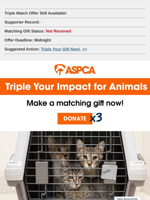 Your Triple Matched Gift (Status Pending)