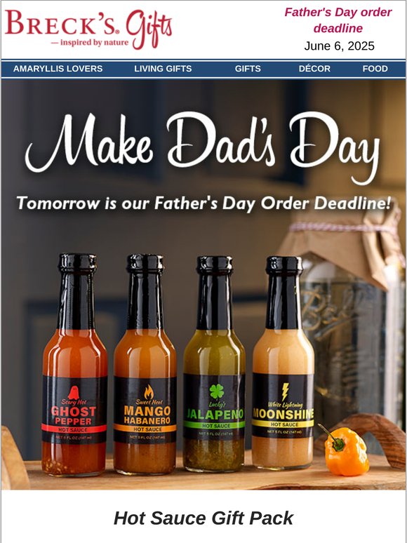 Don’t Miss It—Order by June 6 for Dad’s Big Day